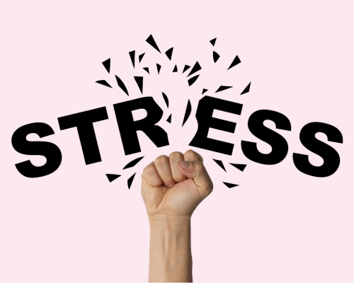 warsztaty strefa zdrowia wilanow 13